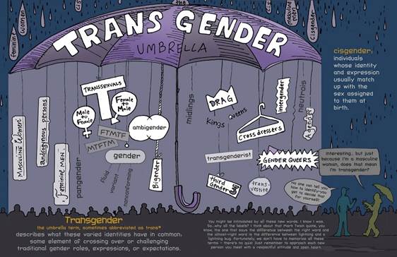 A poster with text and images of a purple umbrella

Description automatically generated with medium confidence